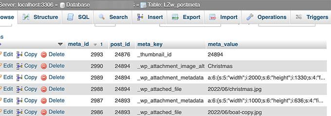 Metadatos de imagen almacenados en la base de datos de WordPress Metadatos de imagen almacenados en la base de datos de WordPress