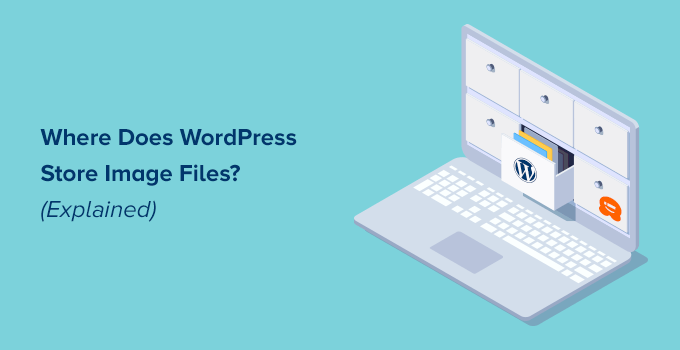 ¿Dónde almacena WordPress las imágenes en su sitio?