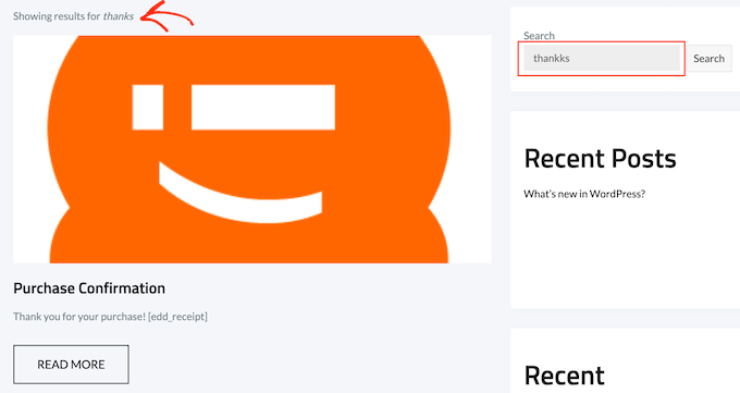 La función SearchWP '¿quiso decir?'