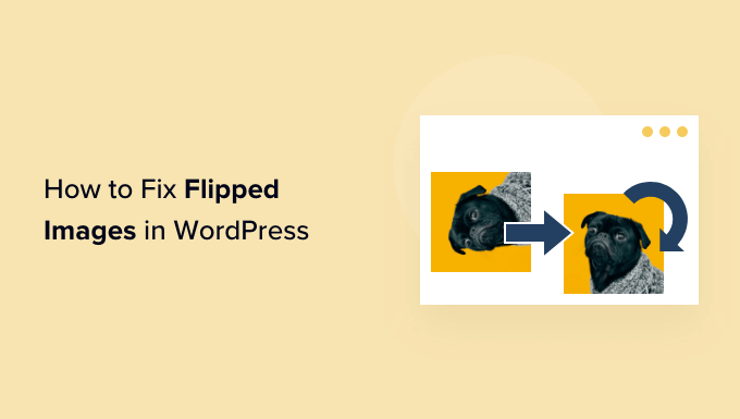 Cómo arreglar imágenes al revés o volteadas en WordPress Cómo arreglar imágenes al revés o volteadas en WordPress