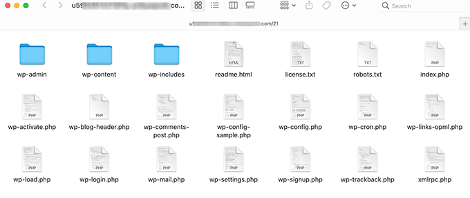 Archivos y carpetas de WordPress