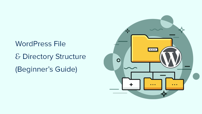 Guía para principiantes sobre la estructura de archivos y directorios de WordPress