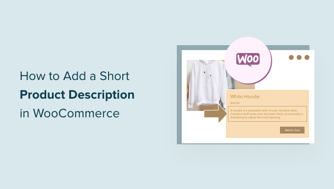 Agregue una breve descripción del producto en WooCommerce