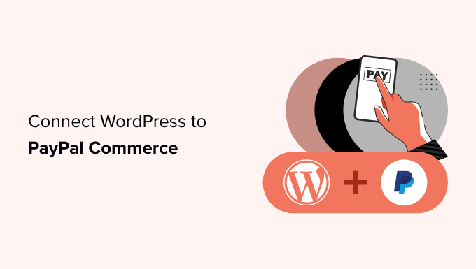 Cómo conectar WordPress con el comercio de PayPal