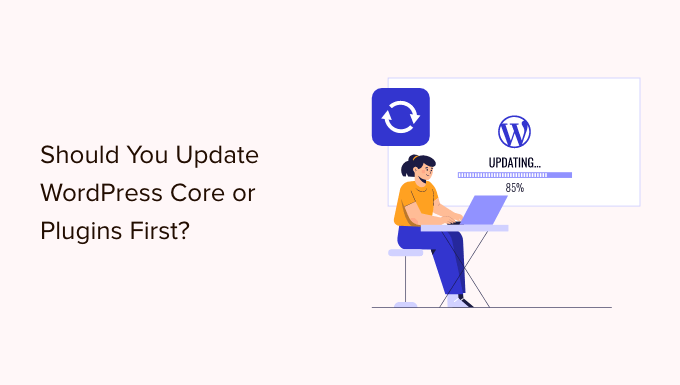 ¿Necesito actualizar WordPress o los complementos primero?  (orden de actualización correcto)