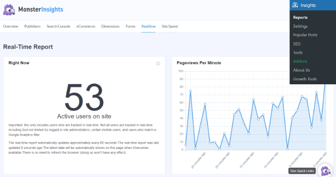 Informe en tiempo real de MonsterInsights Ver informe en tiempo real en MonsterInsights
