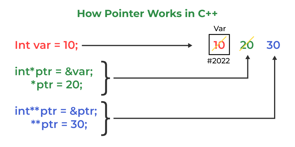 Ejemplo: ¿Cómo funciona Double Pointer?