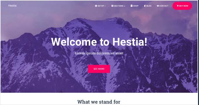 Tema gratuito de Hestia