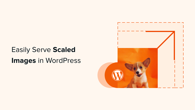 Sirve fácilmente imágenes escaladas en WordPress (paso a paso)