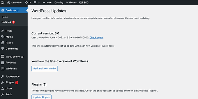 Actualizaciones de WordPress