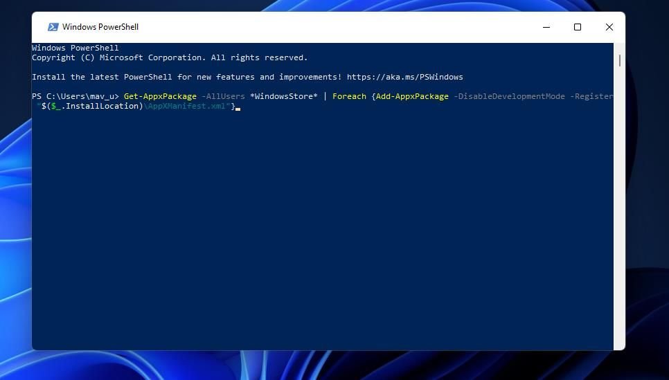 Vuelva a registrar el comando MS Store 