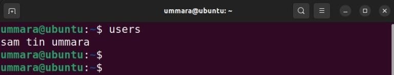 Cómo enumerar los usuarios registrados actuales en Linux